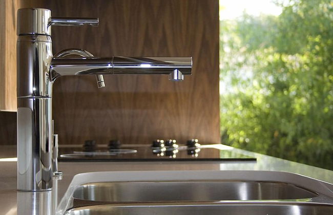 Cactus Flower - Foto 13