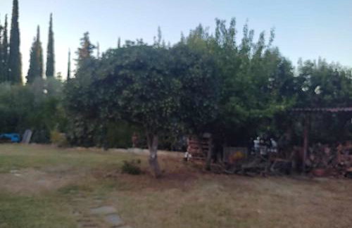 Elaiones house - Photo 37