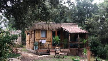 Cabane bambou - Foto 2