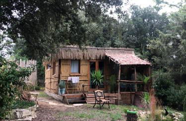 Cabane bambou - Photo 2