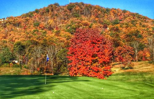 ShortLong Stays Welcome! Hot tub, Dog Friendly! - Foto 46