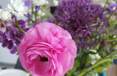 Maison familiale, confortable, au coeur du village - Foto 10