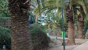 Beachfront apartment - Foto 4, Garden