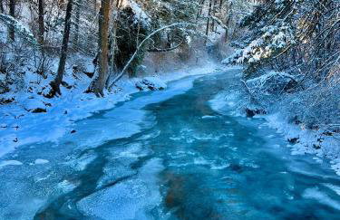 Jocko River Retreat - A Nature Lovers Dream - Foto 33