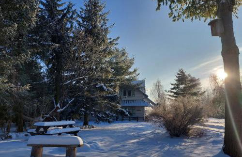 Przystanek Trześcianka - Foto 37