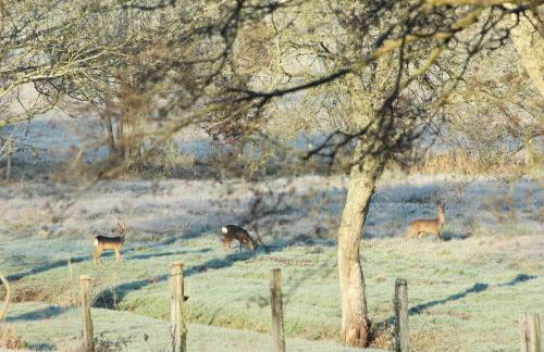 Moulin des sablons vakantiehuis gite - Foto 7