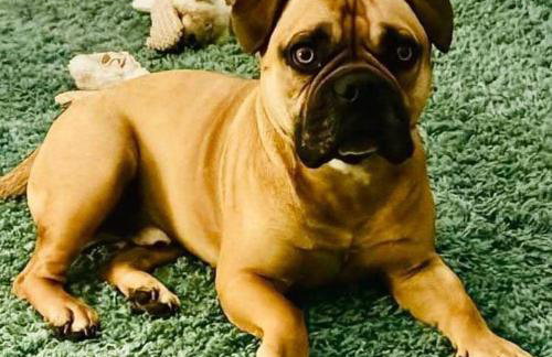 Room with a view - Foto 40