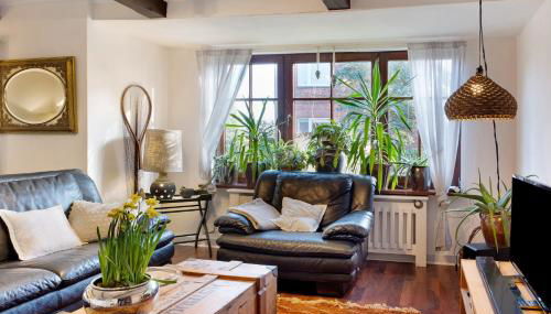 Elbparadies - Foto 2