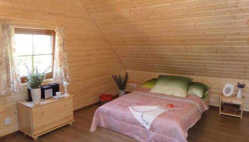 Dom drewniany na Kaszubach, rzeka, las, pola, niedaleko jeziora - Foto 5