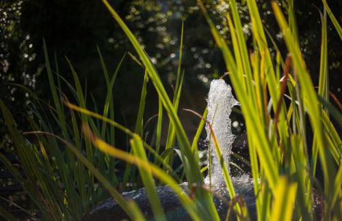 Modernes Appartment BlackForest Art 35 qm Nähe Freiburg - Foto 20