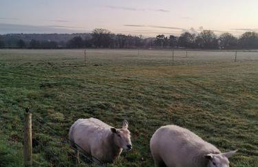 Cosy Coppice Cottage - Foto 11