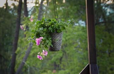 Cantinho da Gândara - Foto 39