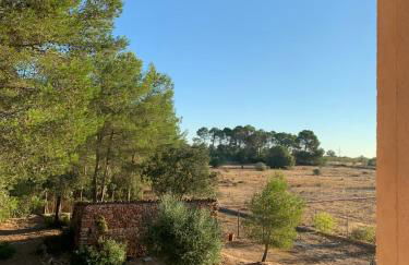 Finca Son Amal - Foto 40