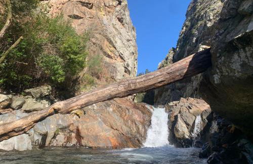 Casa Agostinho - with private pool near Coimbra - Foto 36