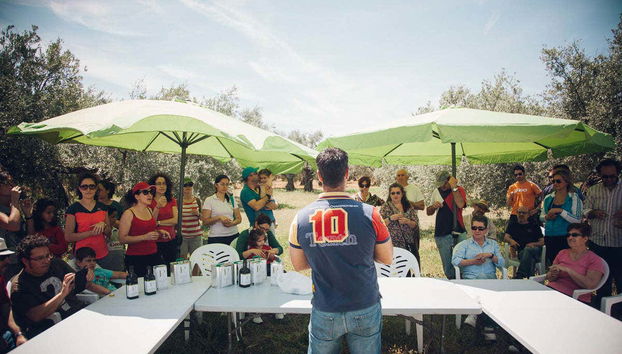 Découvrez la culture de l'huile d'olive