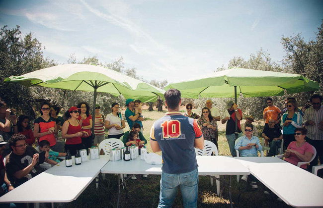 Visita di un oliveto ecologico + Degustazione di olio - Foto 2