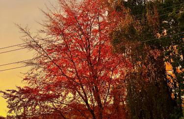 # 97 - die Ferienwohnung am Sachsenring - Foto 33