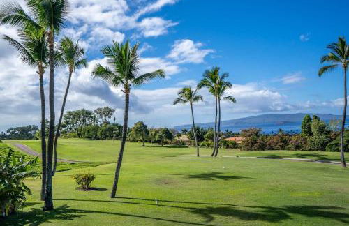 Luxurious Wailea Ocean Vistas - Foto 64