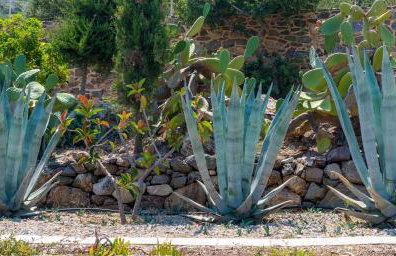 NEW - Villa Manika - 3BR 3BA Pool - Foto 56