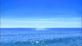 A casetta di l alivu - Foto 5