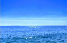 A casetta di l alivu - Foto 5