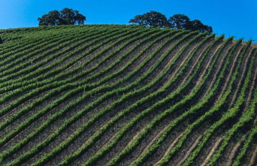 Golden Sand Retreat - Foto 8