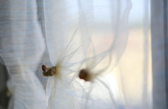 Atlantic Ocean Pool Apartment - Photo 10