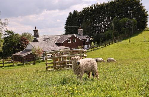 Bryn Y Garreg Cottage - The Wireless Tech Free Farm - Photo 1