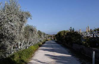 Agriturismo Podere L'Agave - Foto 36