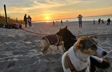 Ferienhaus Sieroslaw polnische Ostsee mit Kamin - Photo 33