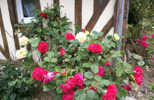 La Longère d'Auberville - Photo 10