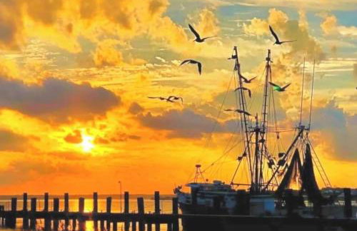 3 bedroom overlooking the water - Foto 20