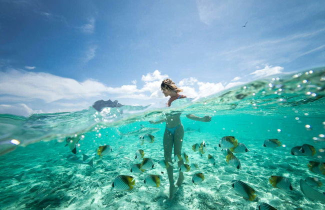 Moto d'acqua + Snorkeling con squali e razze - Foto 3