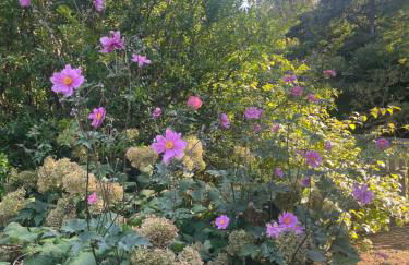 Casetta dei lagoni - Foto 8