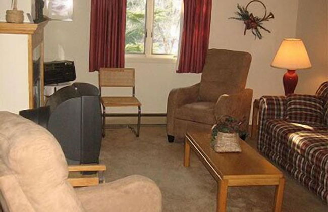 Mount Snow Condominiums - Photo 6