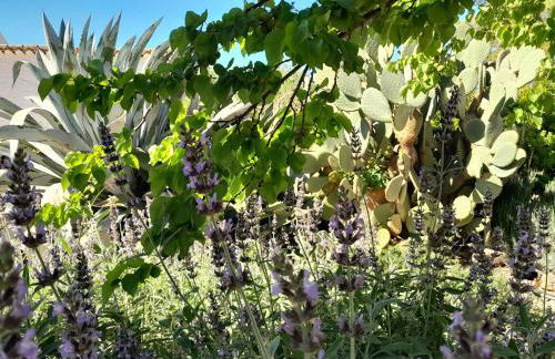 Casa del Riu - Foto 49