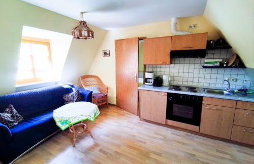 HERRNMÜHLE - Pension & Ferienwohnungen - Foto 32