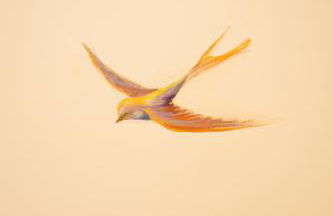 MirAntium - Anzio - Santa Teresa - Photo 42