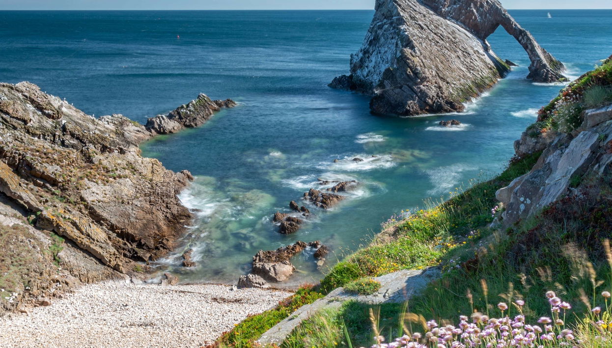 Tour della costa del Moray Firth + Distilleria di whisky