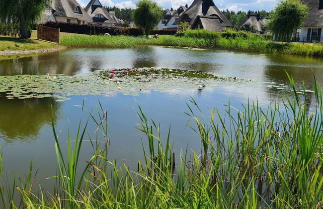 Seeschwalbe Modern Retreat - Foto 35