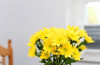 Ferienwohnung Nordmoor - Foto 7