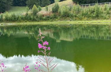 La Plagne, Montchavin, les Coches - Foto 19