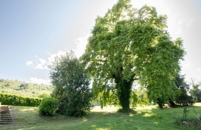 La Maison du Chateau - Foto 35