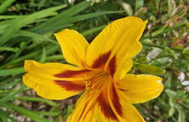 Apartamenty Szepty Mazur - Foto 52