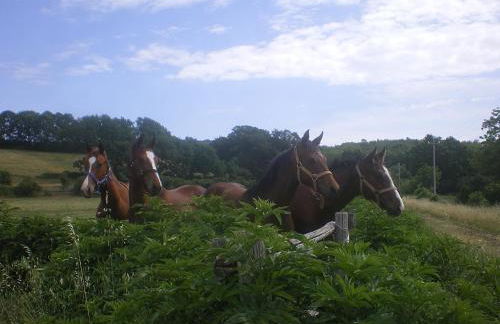 Tenuta Vallenoci - Foto 8