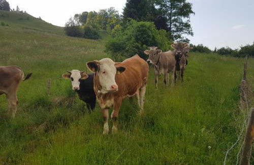 Ferienwohnung Schloßberg 1 - Foto 26