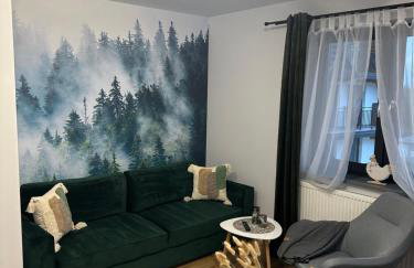 Apartament Koko Białka Tatrzańska - Foto 1