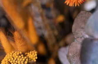 Borda Mondarruego - Photo 23