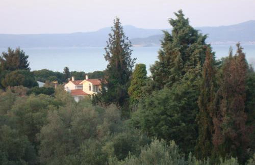 Melimaria2 - Foto 78