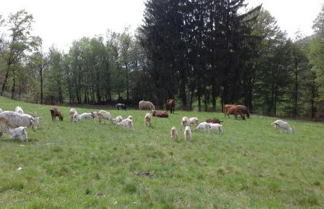 Agriturismo Villa Brugolta - Foto 19